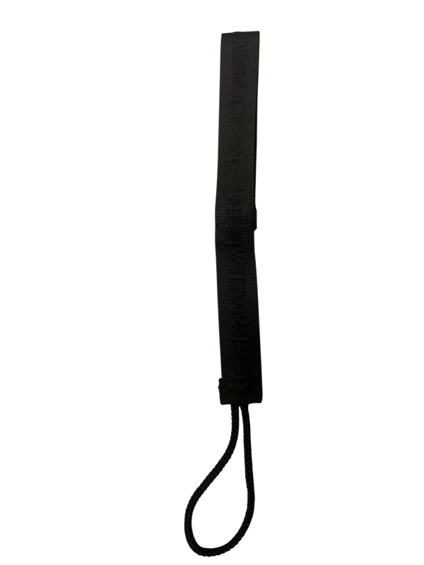 dragonne noir